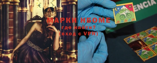 индика Армянск