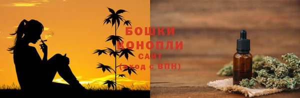 индика Армянск