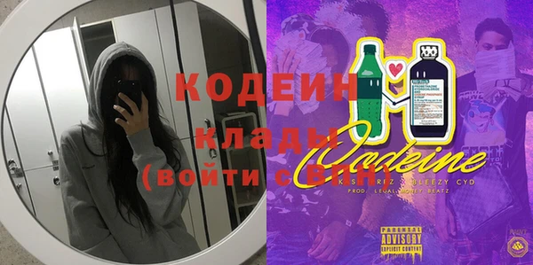 индика Армянск