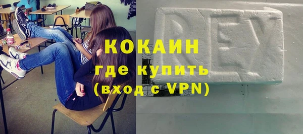 индика Армянск