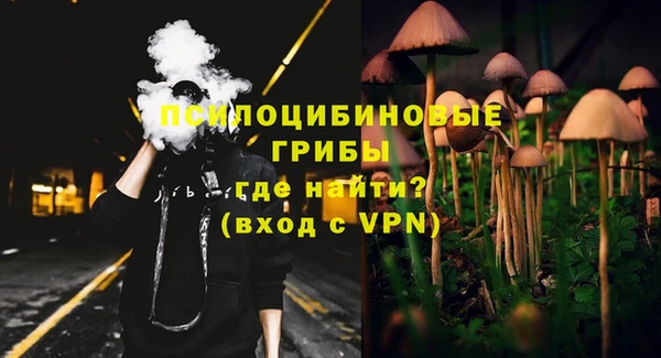 прущие грибы Арсеньев