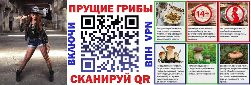 Купить где  Унеча  Псилоцибиновые грибы Magic Shrooms 