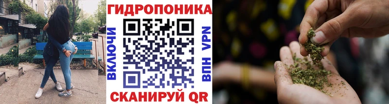 Купить где  Унеча  МАРИХУАНА сатива 